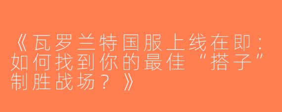 《瓦罗兰特国服上线在即：如何找到你的最佳“搭子”制胜战场？》