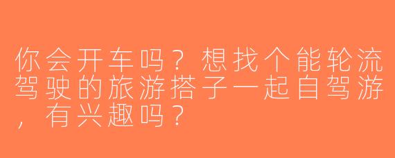 你会开车吗？想找个能轮流驾驶的旅游搭子一起自驾游，有兴趣吗？