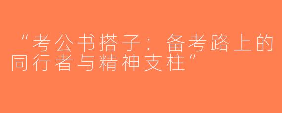 “考公书搭子：备考路上的同行者与精神支柱”