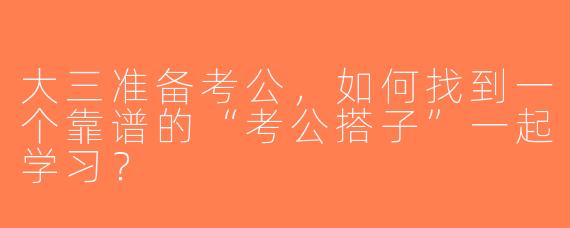 大三准备考公，如何找到一个靠谱的“考公搭子”一起学习？
