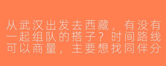 从武汉出发去西藏，有没有一起组队的搭子？时间路线可以商量，主要想找同伴分摊费用和安全互助！
