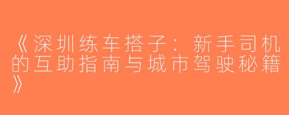 《深圳练车搭子：新手司机的互助指南与城市驾驶秘籍》