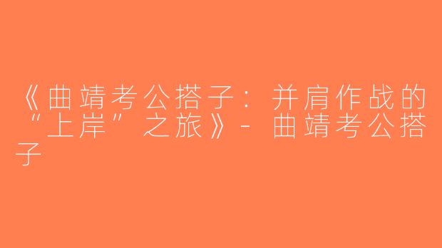 《曲靖考公搭子：并肩作战的“上岸”之旅》-曲靖考公搭子