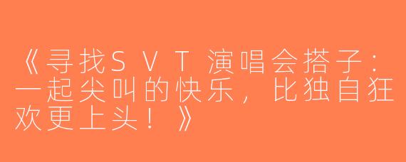 《寻找SVT演唱会搭子：一起尖叫的快乐，比独自狂欢更上头！》