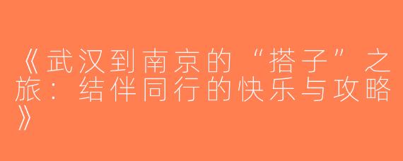 《武汉到南京的“搭子”之旅：结伴同行的快乐与攻略》