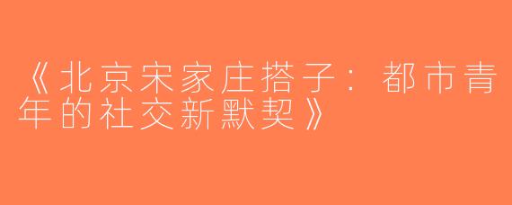《北京宋家庄搭子：都市青年的社交新默契》
