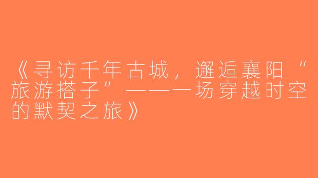 《寻访千年古城，邂逅襄阳“旅游搭子”——一场穿越时空的默契之旅》
