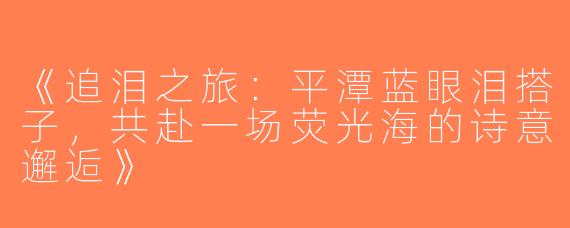 《追泪之旅：平潭蓝眼泪搭子，共赴一场荧光海的诗意邂逅》