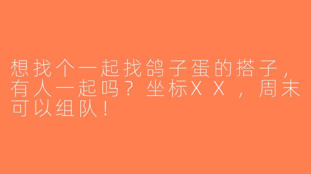 想找个一起找鸽子蛋的搭子，有人一起吗？坐标XX，周末可以组队！