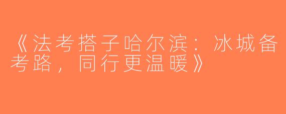 《法考搭子哈尔滨：冰城备考路，同行更温暖》