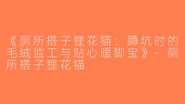 《厕所搭子狸花猫：蹲坑时的毛绒监工与贴心暖脚宝》-厕所搭子狸花猫