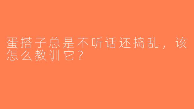 蛋搭子总是不听话还捣乱，该怎么教训它？