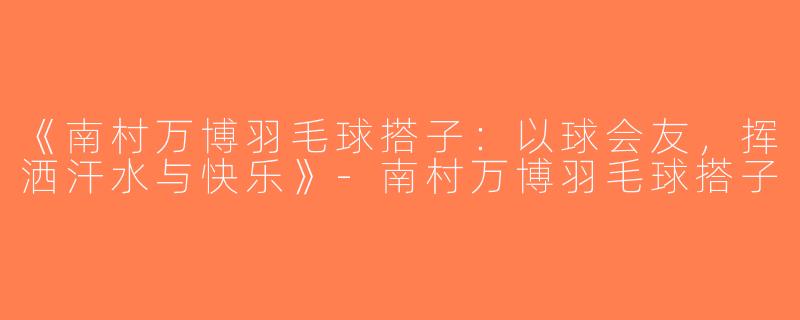 《南村万博羽毛球搭子：以球会友，挥洒汗水与快乐》-南村万博羽毛球搭子