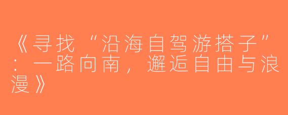 《寻找“沿海自驾游搭子”：一路向南，邂逅自由与浪漫》