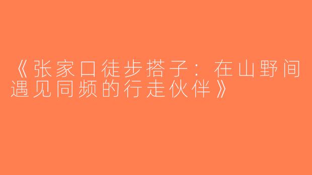《张家口徒步搭子：在山野间遇见同频的行走伙伴》