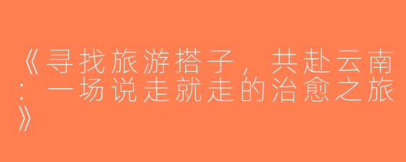 《寻找旅游搭子，共赴云南：一场说走就走的治愈之旅》