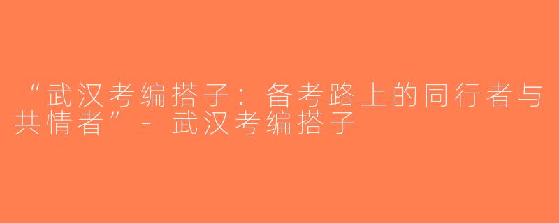 “武汉考编搭子：备考路上的同行者与共情者”-武汉考编搭子