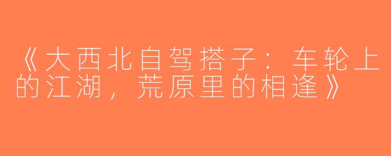 《大西北自驾搭子：车轮上的江湖，荒原里的相逢》