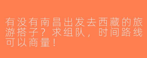 有没有南昌出发去西藏的旅游搭子？求组队，时间路线可以商量！