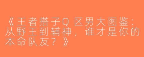 《王者搭子Q区男大图鉴：从野王到辅神，谁才是你的本命队友？》