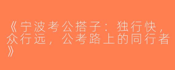 《宁波考公搭子：独行快，众行远，公考路上的同行者》