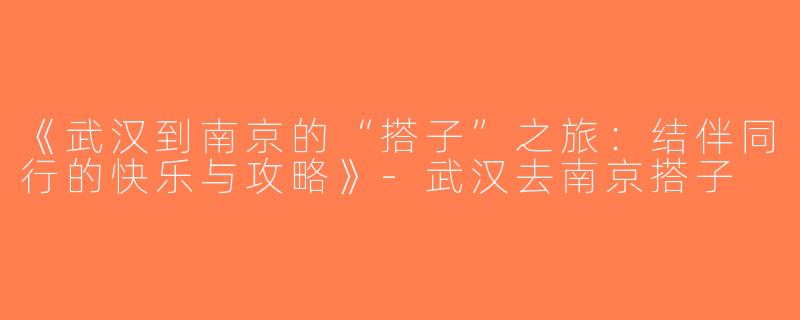 《武汉到南京的“搭子”之旅：结伴同行的快乐与攻略》-武汉去南京搭子