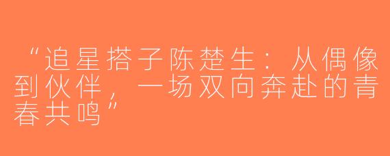 “追星搭子陈楚生：从偶像到伙伴，一场双向奔赴的青春共鸣”