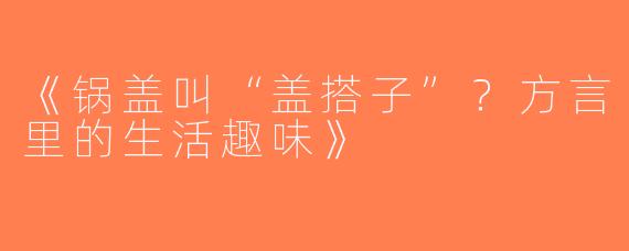 《锅盖叫“盖搭子”？方言里的生活趣味》