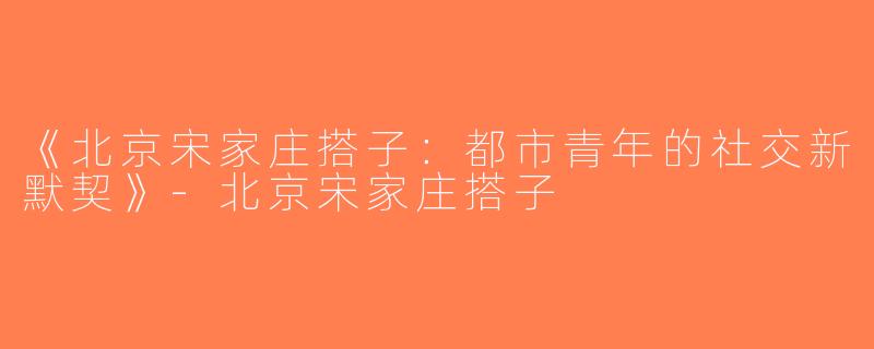 《北京宋家庄搭子：都市青年的社交新默契》-北京宋家庄搭子