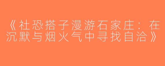 《社恐搭子漫游石家庄：在沉默与烟火气中寻找自洽》