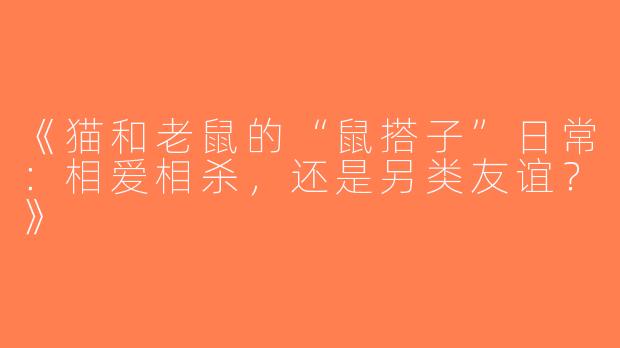 《猫和老鼠的“鼠搭子”日常：相爱相杀，还是另类友谊？》