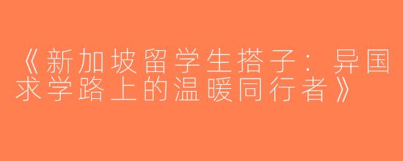 《新加坡留学生搭子：异国求学路上的温暖同行者》
