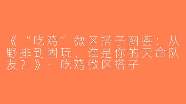 《“吃鸡”微区搭子图鉴：从野排到固玩，谁是你的天命队友？》-吃鸡微区搭子