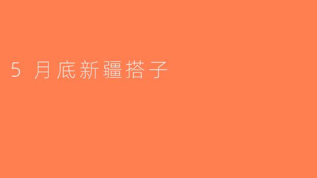 5月底新疆搭子