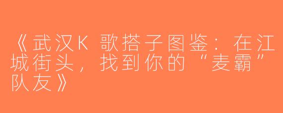 《武汉K歌搭子图鉴：在江城街头，找到你的“麦霸”队友》