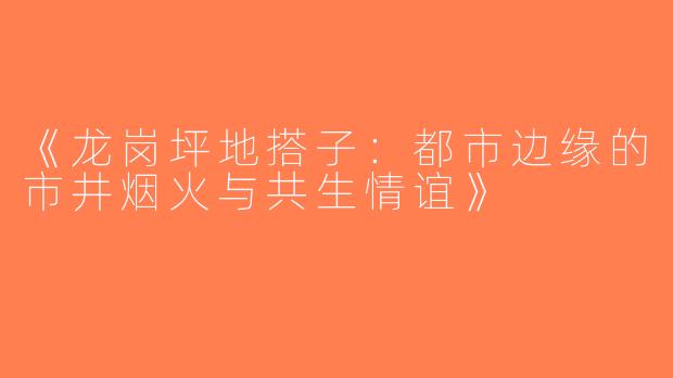 《龙岗坪地搭子：都市边缘的市井烟火与共生情谊》