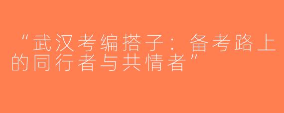 “武汉考编搭子：备考路上的同行者与共情者”