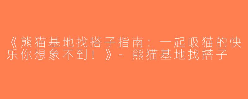 《熊猫基地找搭子指南：一起吸猫的快乐你想象不到！》-熊猫基地找搭子