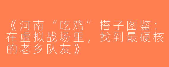 《河南“吃鸡”搭子图鉴：在虚拟战场里，找到最硬核的老乡队友》