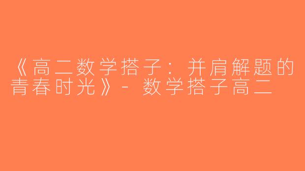 《高二数学搭子：并肩解题的青春时光》-数学搭子高二