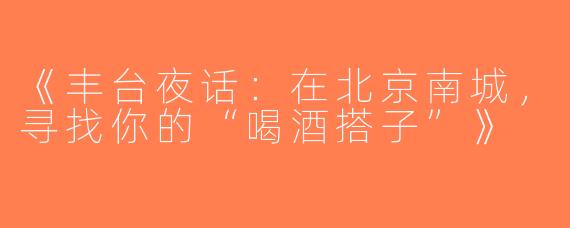 《丰台夜话：在北京南城，寻找你的“喝酒搭子”》
