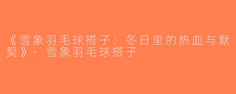《雪象羽毛球搭子：冬日里的热血与默契》-雪象羽毛球搭子