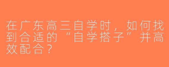 在广东高三自学时，如何找到合适的“自学搭子”并高效配合？