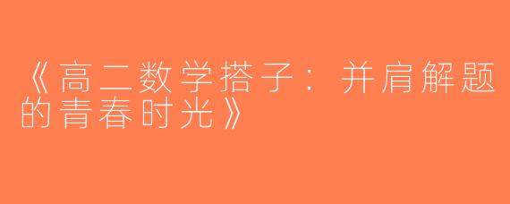 《高二数学搭子：并肩解题的青春时光》