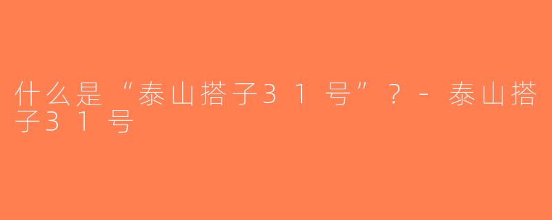 什么是“泰山搭子31号”？-泰山搭子31号