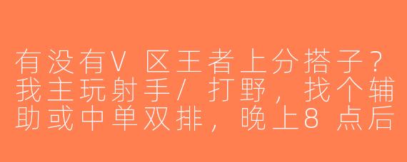 有没有V区王者上分搭子？我主玩射手/打野，找个辅助或中单双排，晚上8点后在线，心态好不压力！