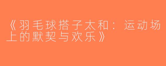 《羽毛球搭子太和：运动场上的默契与欢乐》