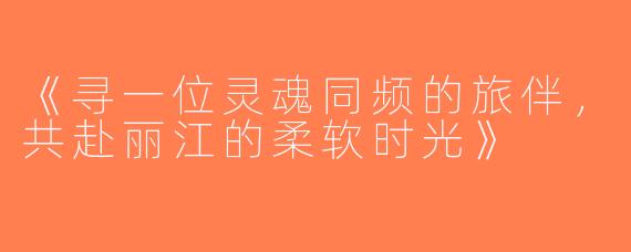 《寻一位灵魂同频的旅伴，共赴丽江的柔软时光》