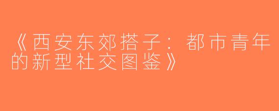 《西安东郊搭子：都市青年的新型社交图鉴》