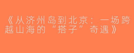《从济州岛到北京：一场跨越山海的“搭子”奇遇》